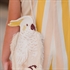 Picture of Verticals MW - Cotton Canvas Gabardine Twill - Papyrus Crème
