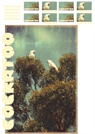 Image de Cockatoo - L - 1.0 - DTF A3