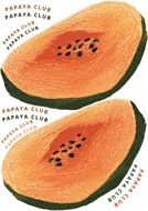Image de Papaya for bag and garments - DTF A4 - for DIY