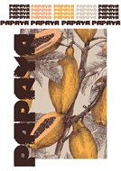 Image de Papaya - L - 1.0 - DTF A3 - for DIY