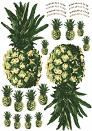 Image de Pineapples for bag, keychains and garments - DTF A3 - for DIY